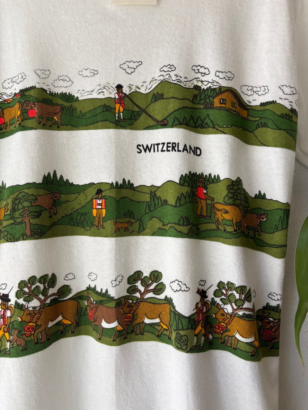 Switzerland Landscape Tee (xl-2x)