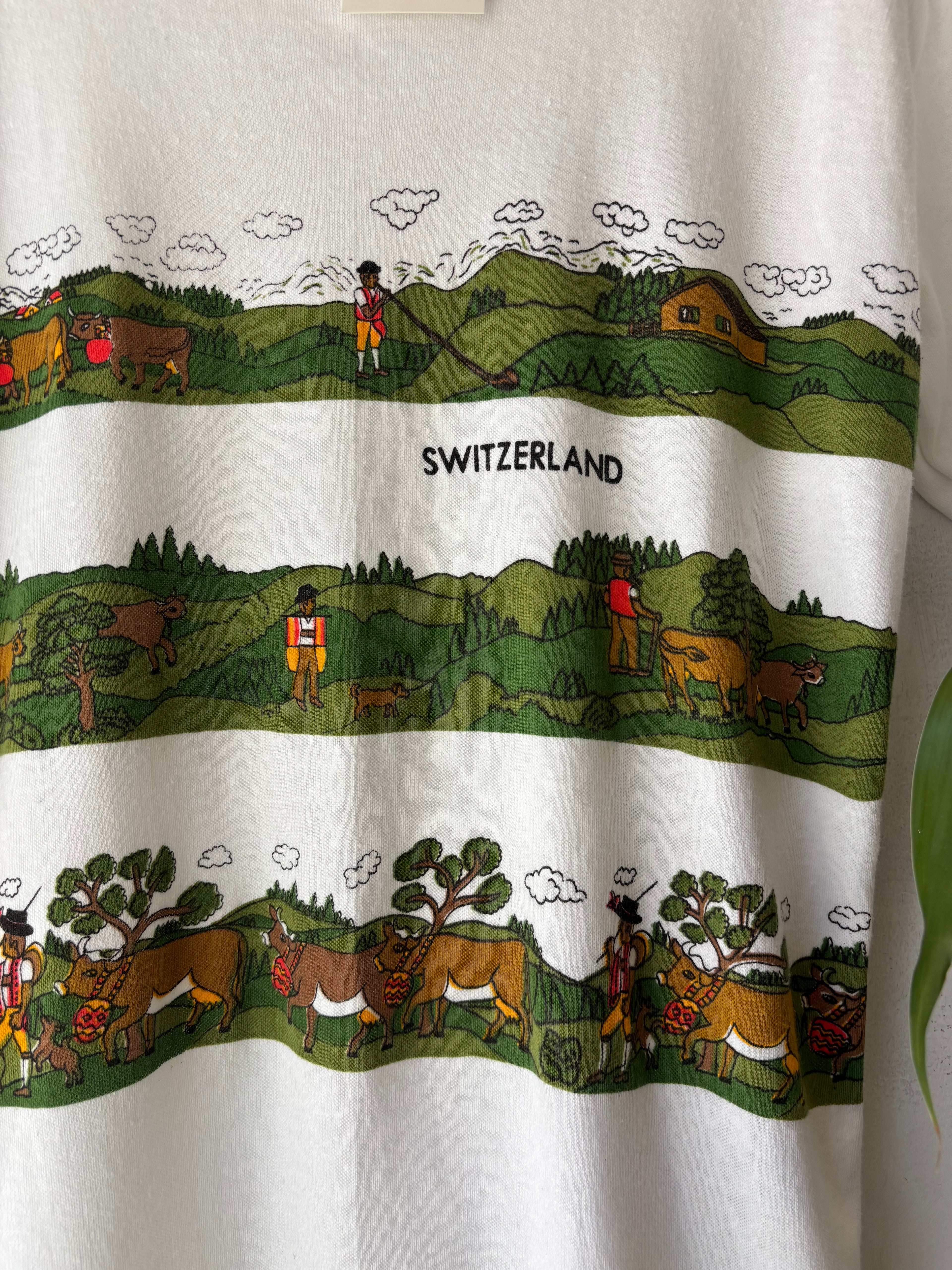 Switzerland Landscape Tee (xl-2x)