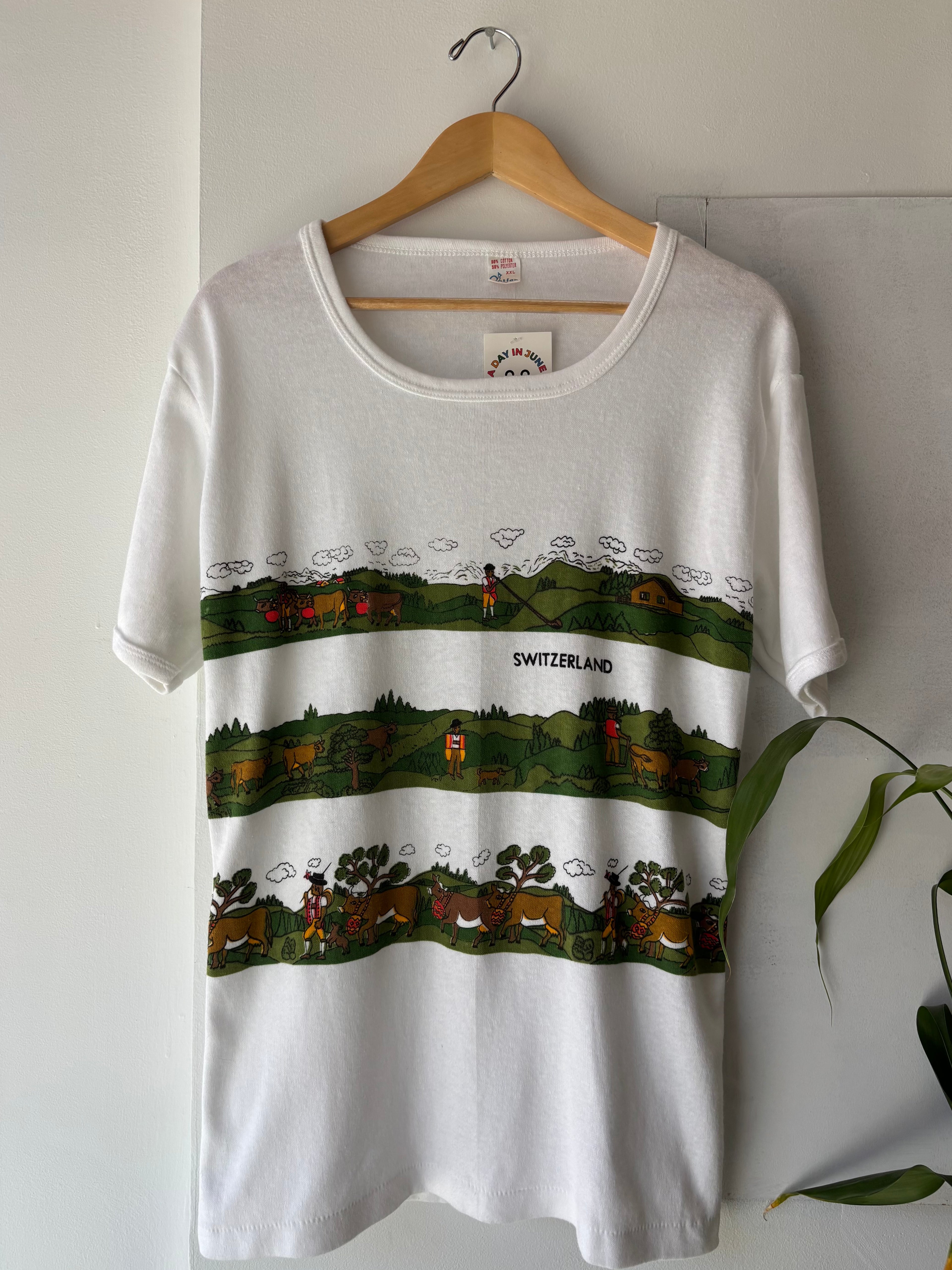 Switzerland Landscape Tee (xl-2x)